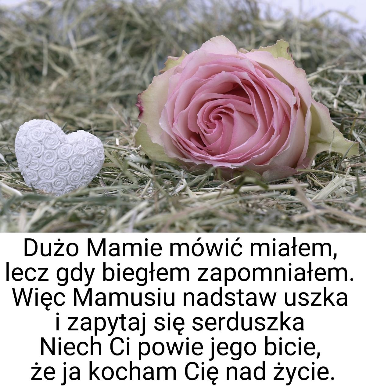 Dużo Mamie mówić miałem, lecz gdy biegłem zapomniałem. Więc