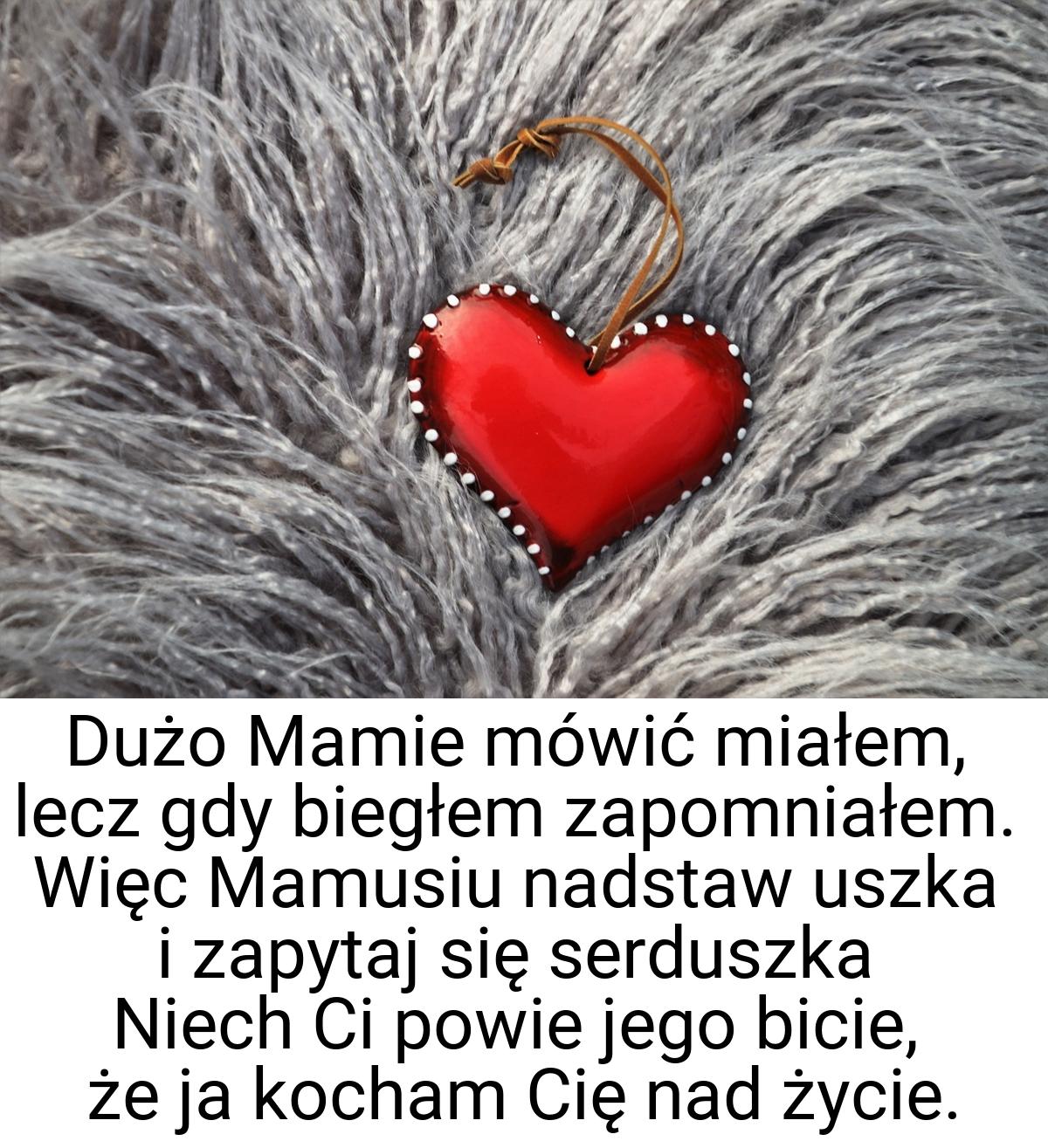 Dużo Mamie mówić miałem, lecz gdy biegłem zapomniałem. Więc