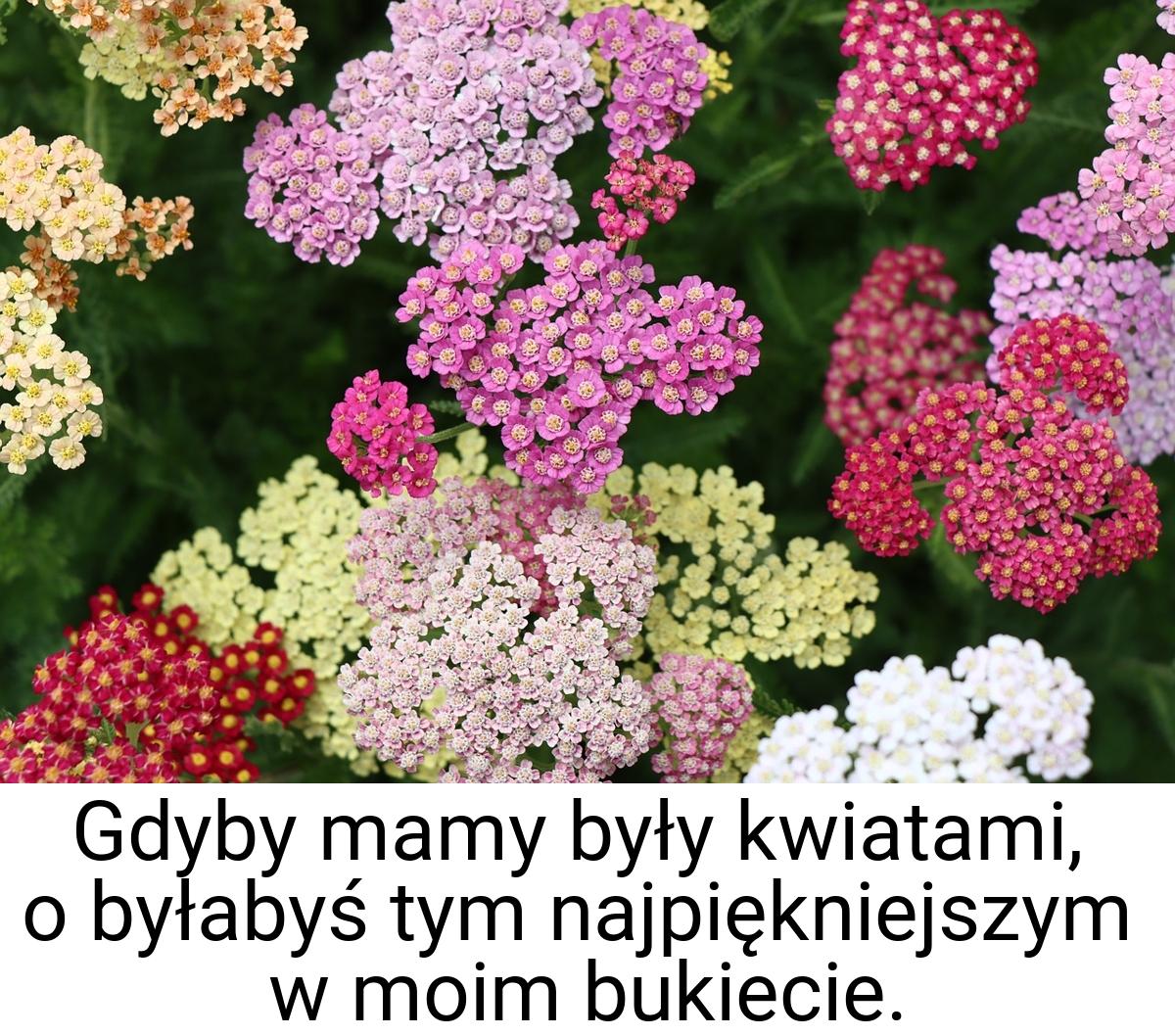 Gdyby mamy były kwiatami, o byłabyś tym najpiękniejszym w