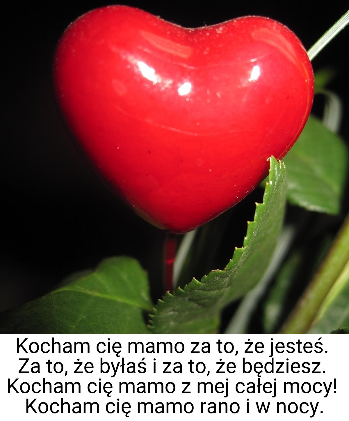 Kocham cię mamo za to, że jesteś. Za to, że byłaś i za to