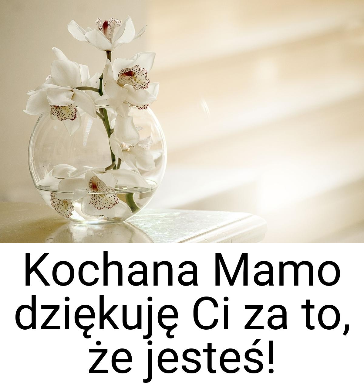 Kochana Mamo dziękuję Ci za to, że jesteś