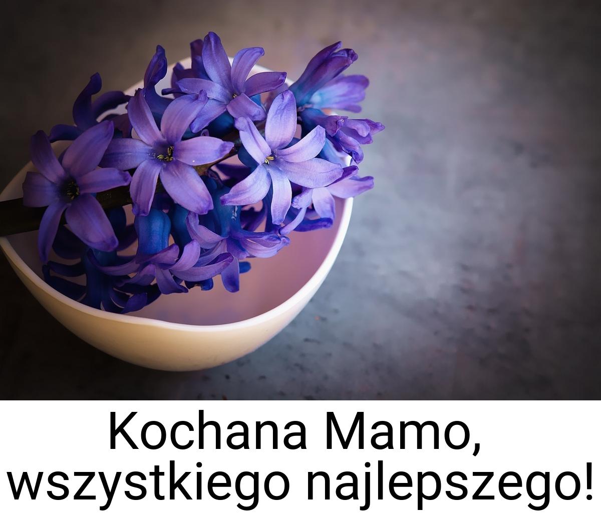 Kochana Mamo, wszystkiego najlepszego