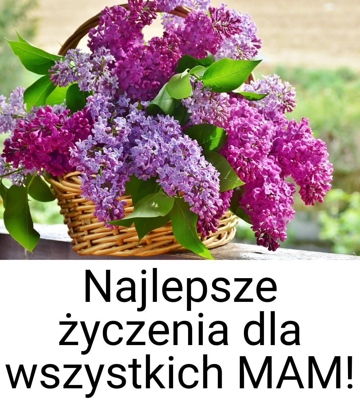 Najlepsze życzenia dla wszystkich MAM