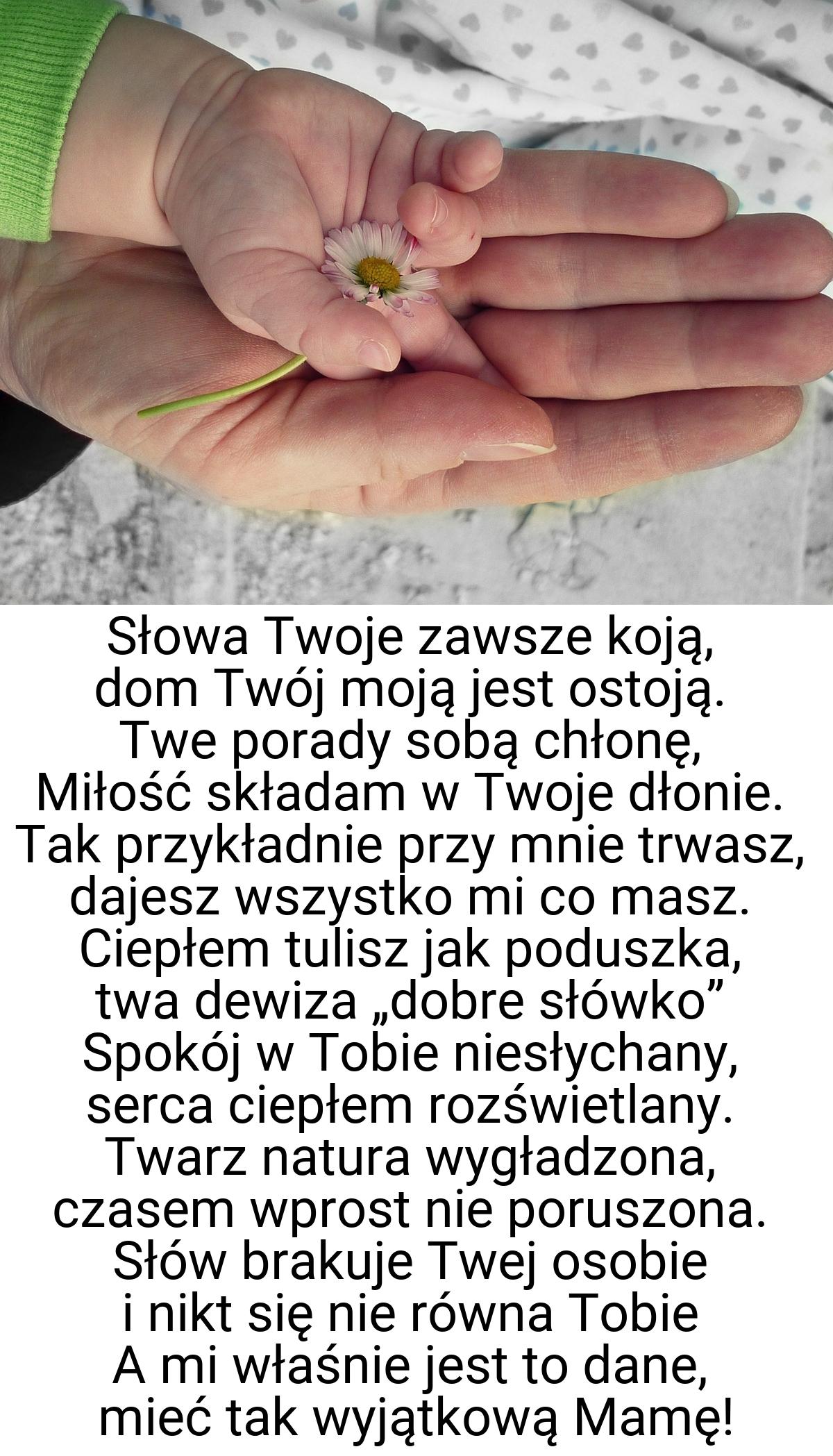 Słowa Twoje zawsze koją, dom Twój moją jest ostoją. Twe