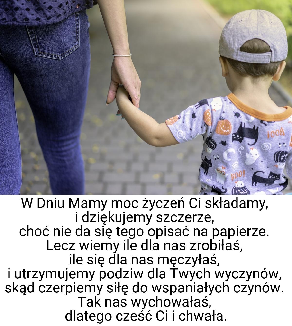 W Dniu Mamy moc życzeń Ci składamy, i dziękujemy szczerze