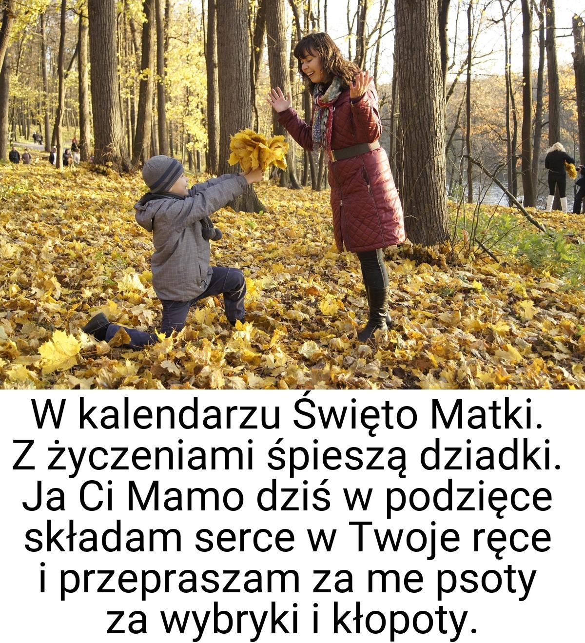 W kalendarzu Święto Matki. Z życzeniami śpieszą dziadki. Ja