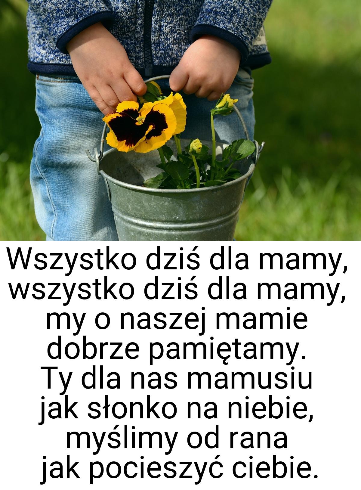 Wszystko dziś dla mamy, wszystko dziś dla mamy, my o naszej