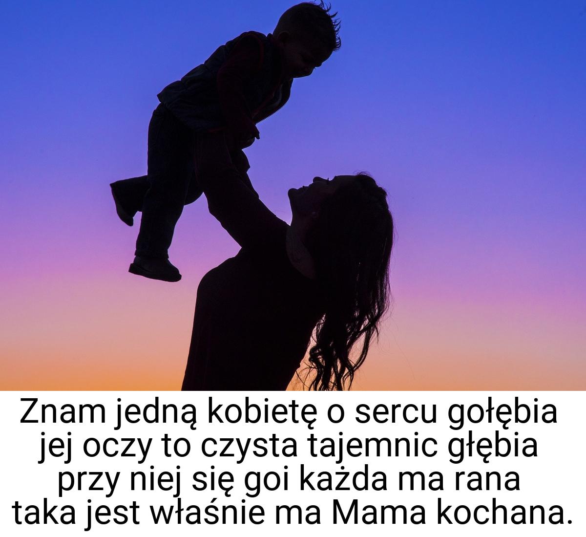 Znam jedną kobietę o sercu gołębia jej oczy to czysta