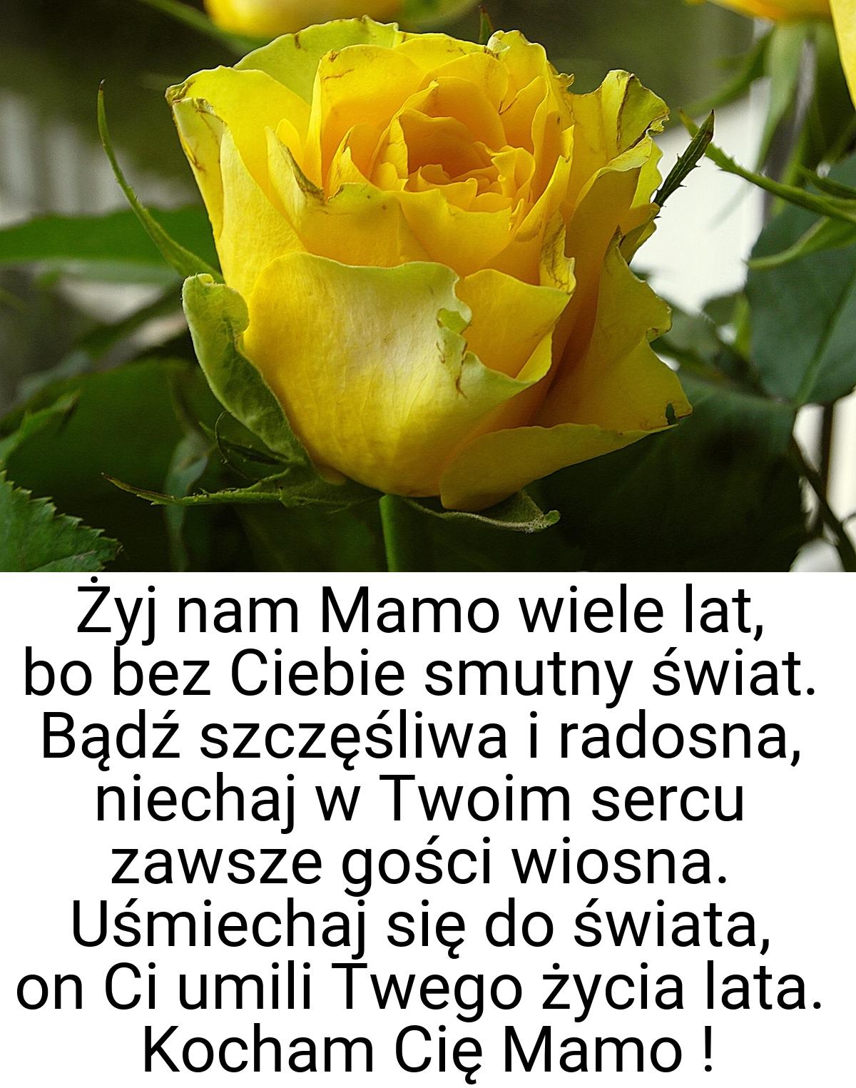 Żyj nam Mamo wiele lat, bo bez Ciebie smutny świat. Bądź