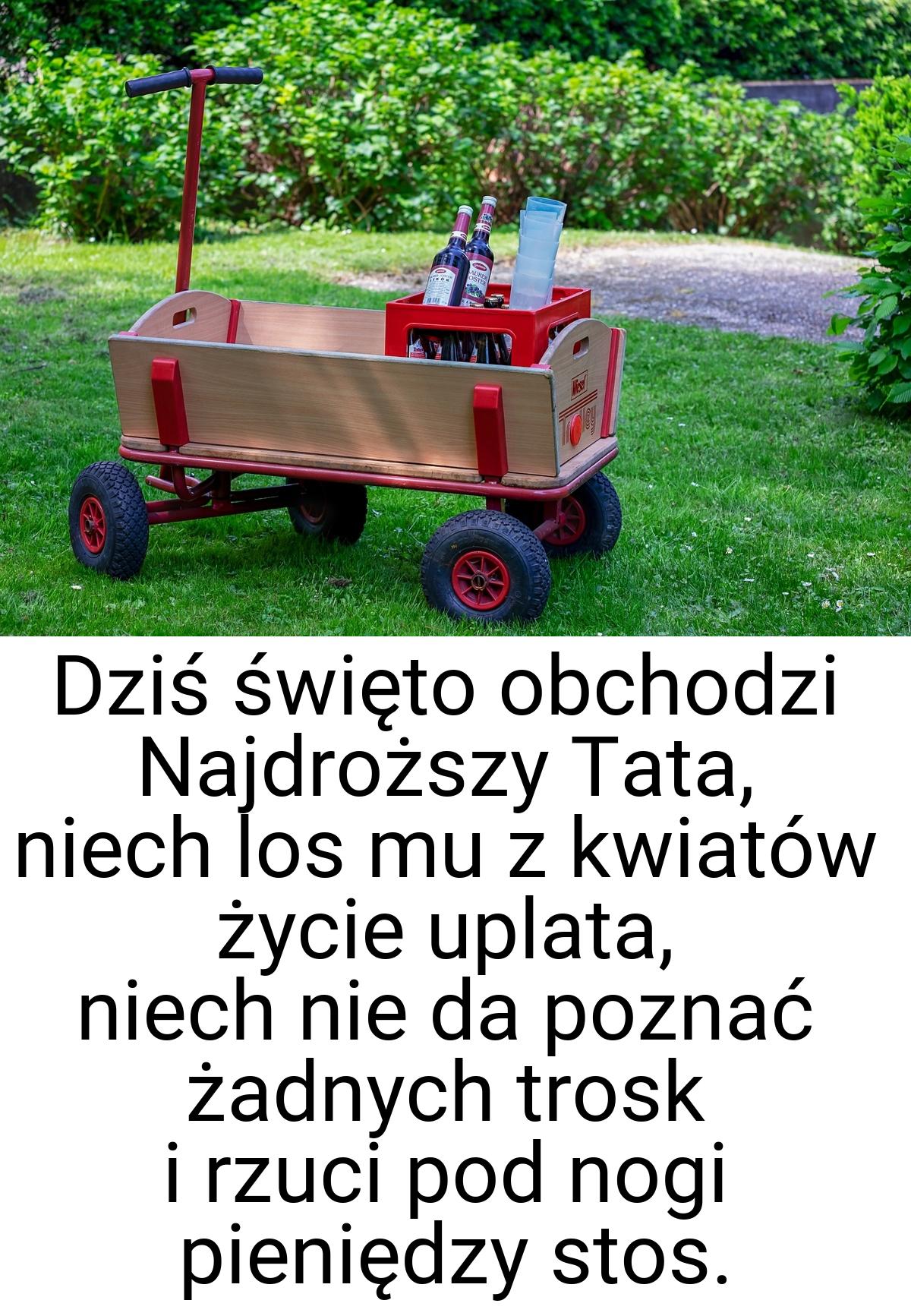 Dziś święto obchodzi Najdroższy Tata, niech los mu z