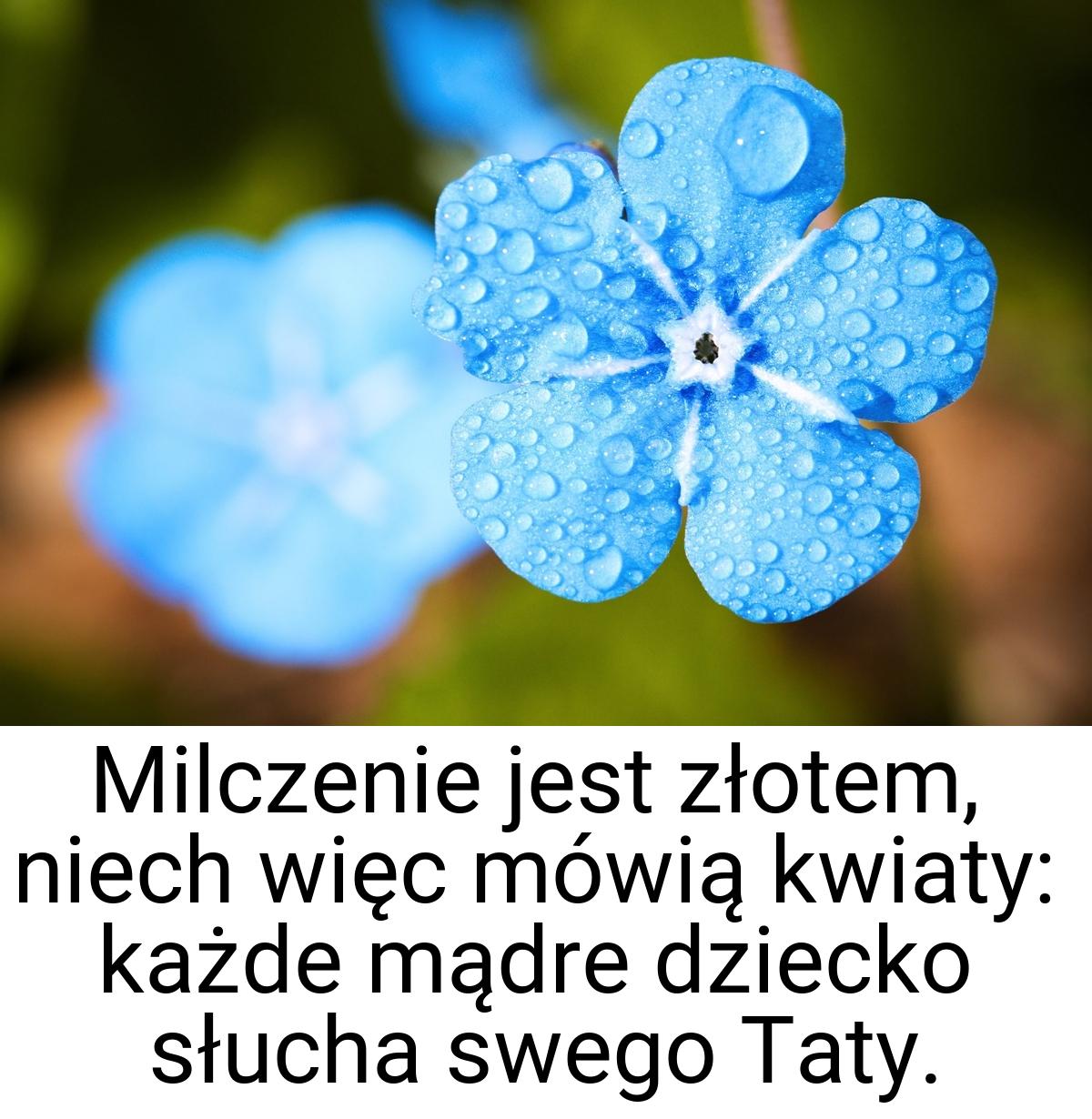 Milczenie jest złotem, niech więc mówią kwiaty: każde mądre