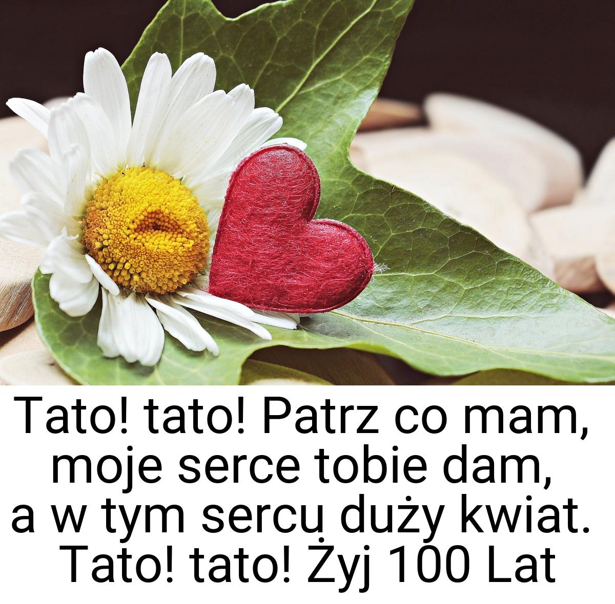 Tato! tato! Patrz co mam, moje serce tobie dam, a w tym