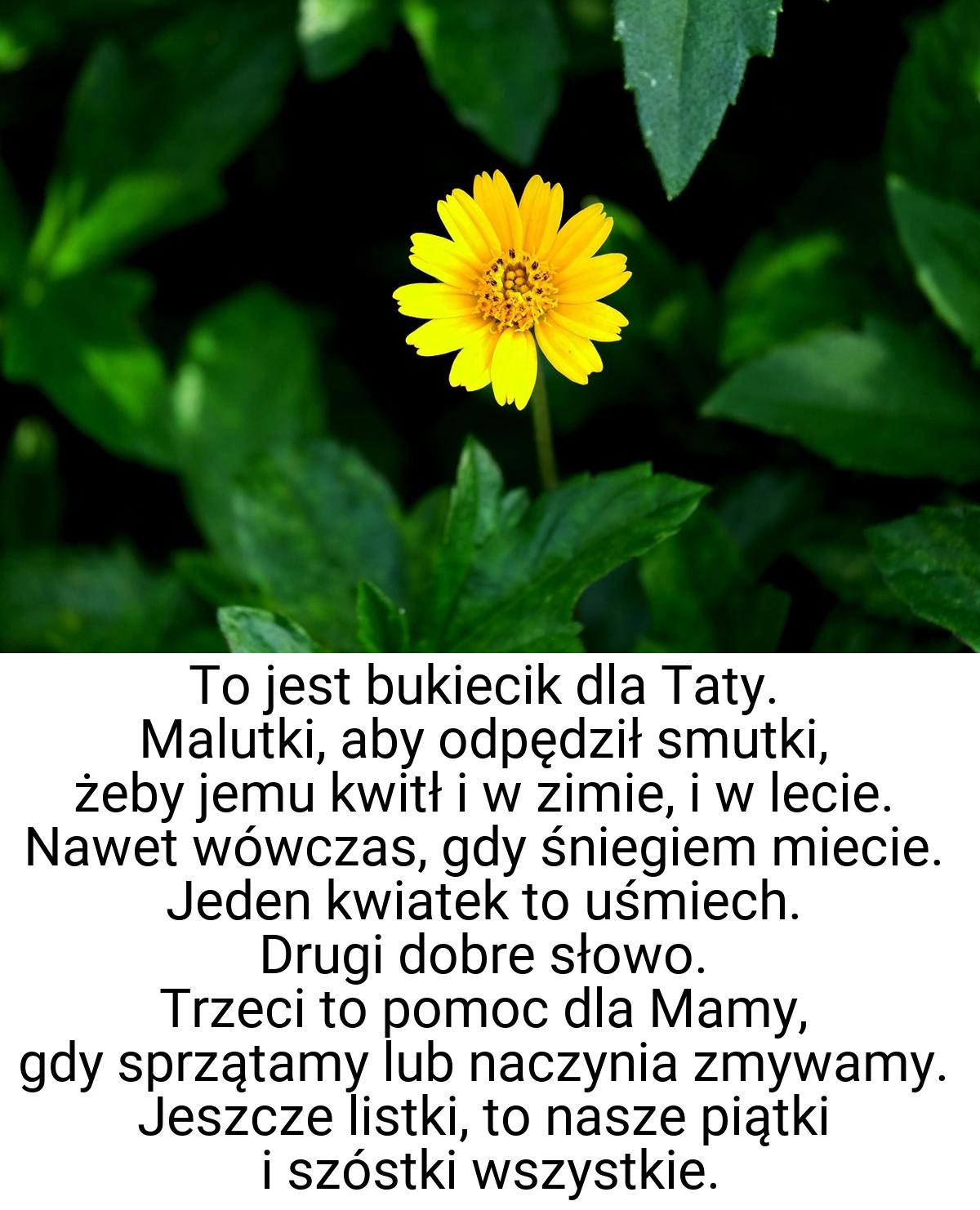 To jest bukiecik dla Taty. Malutki, aby odpędził smutki