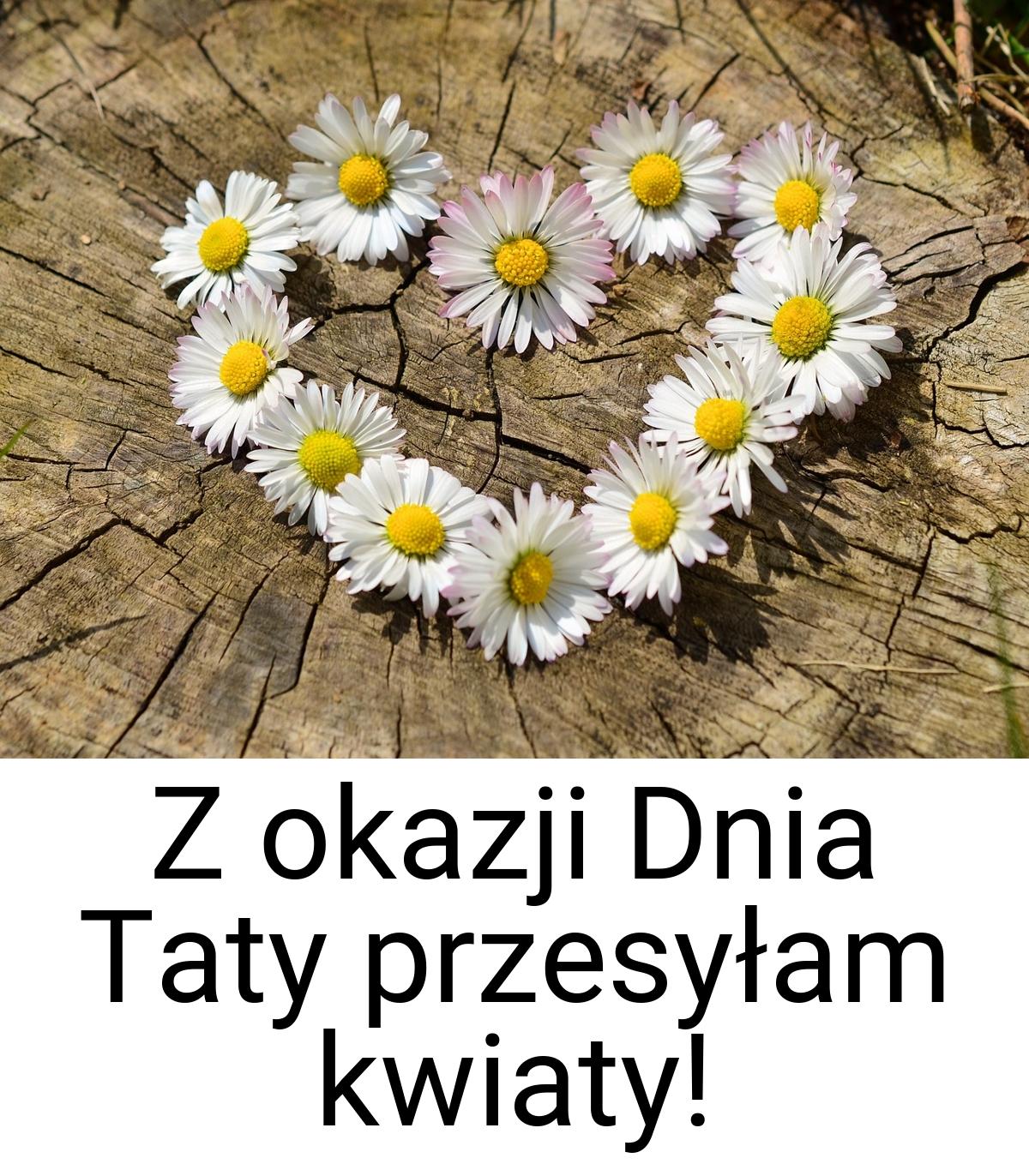 Z okazji Dnia Taty przesyłam kwiaty