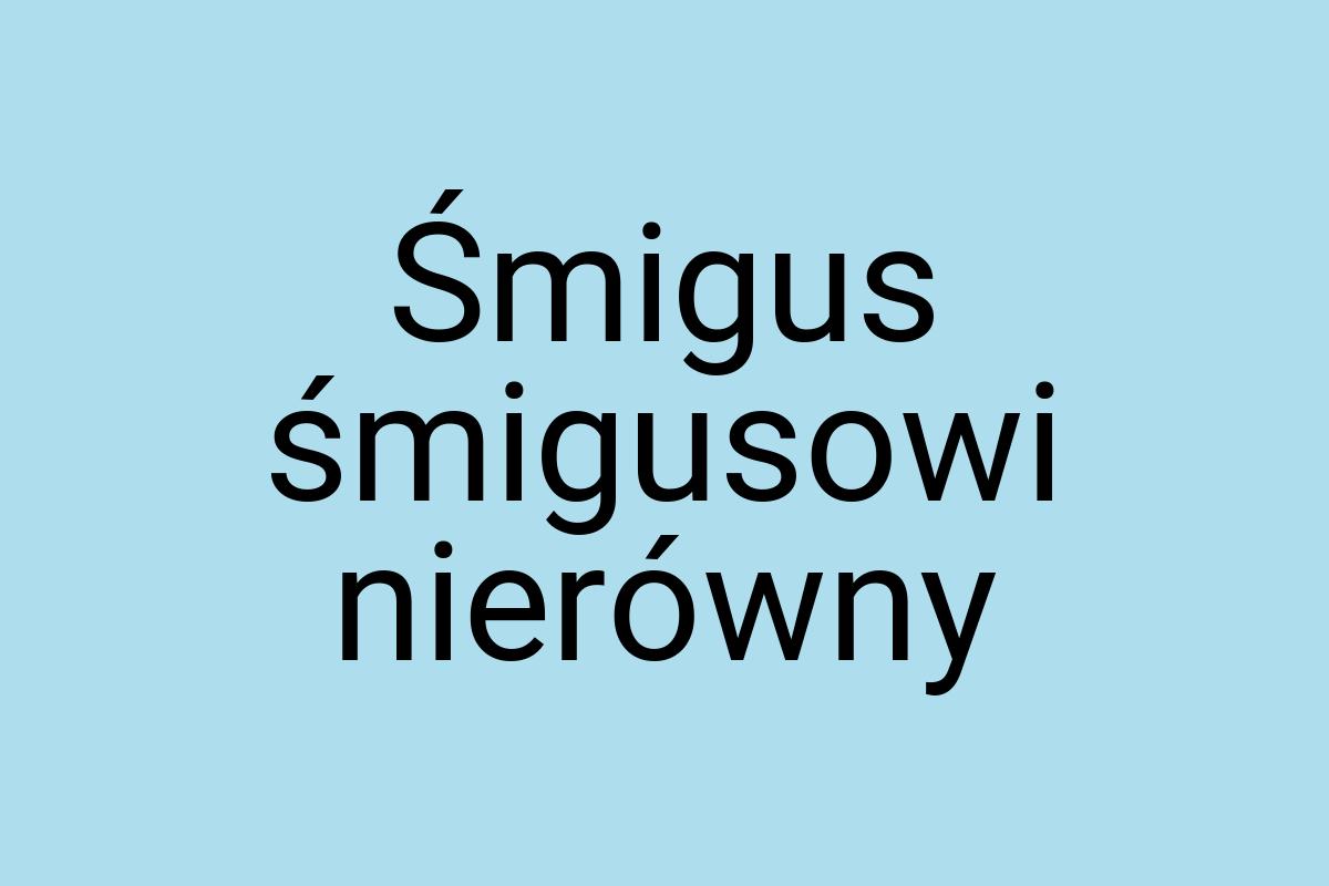 Śmigus śmigusowi nierówny
