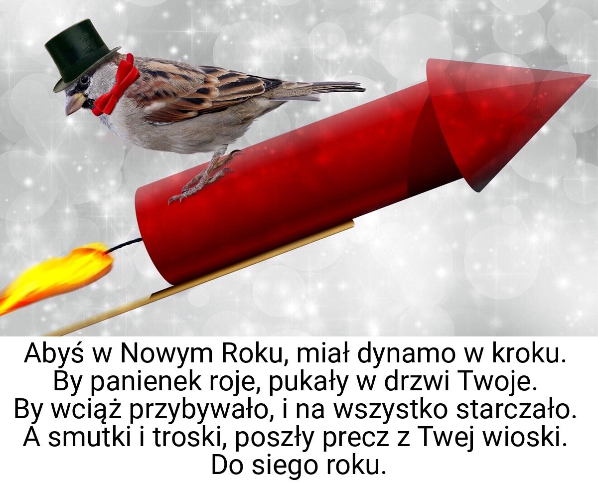 Abyś w Nowym Roku, miał dynamo w kroku. By panienek roje