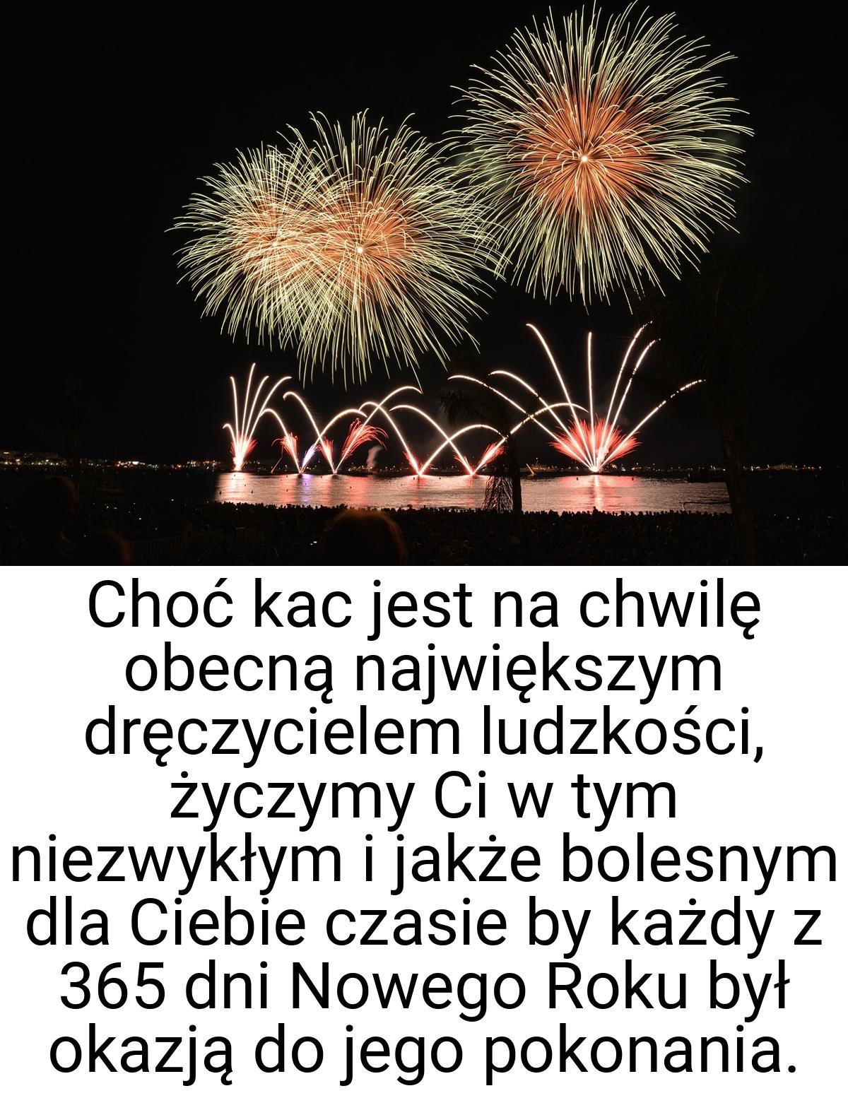 Choć kac jest na chwilę obecną największym dręczycielem