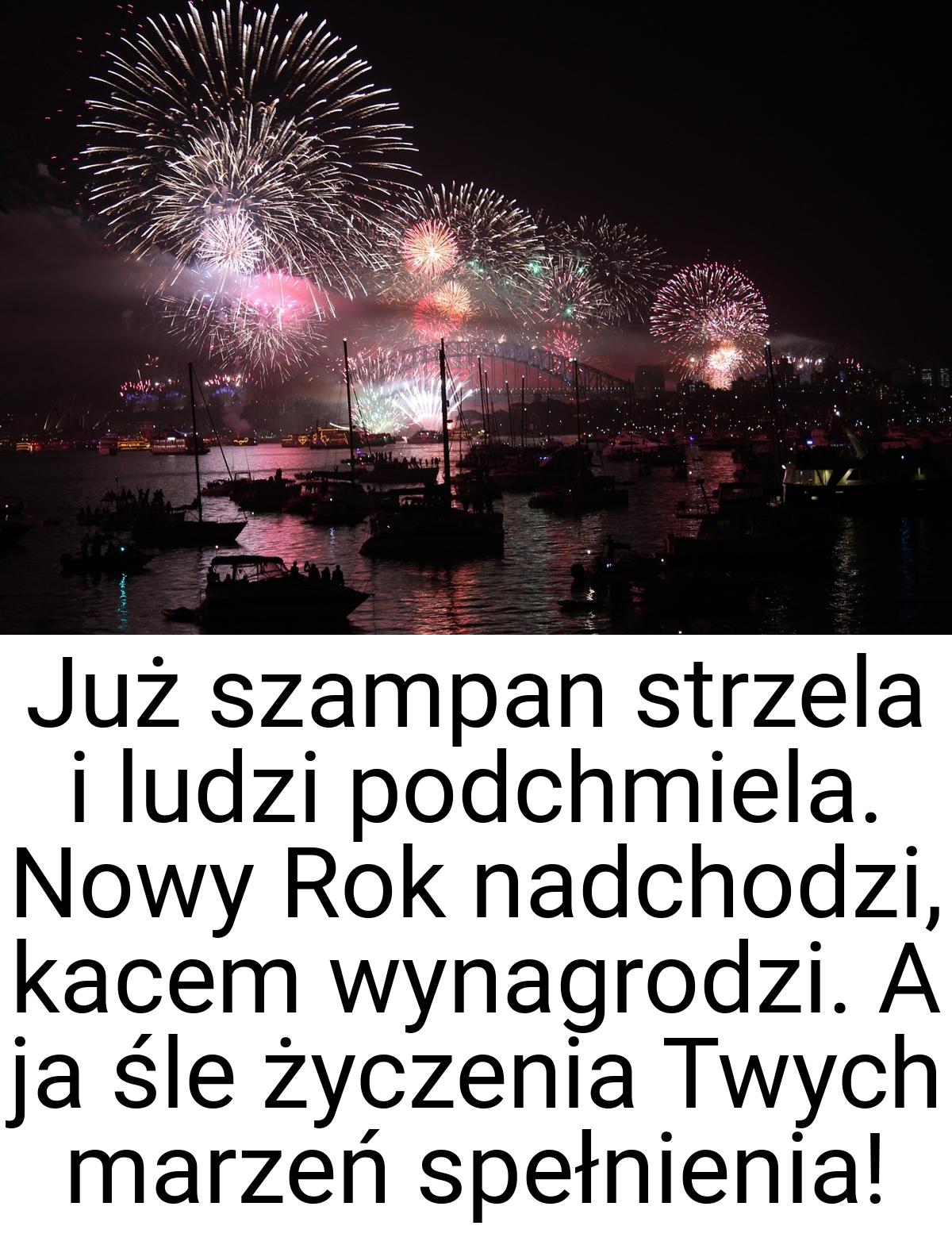 Już szampan strzela i ludzi podchmiela. Nowy Rok nadchodzi