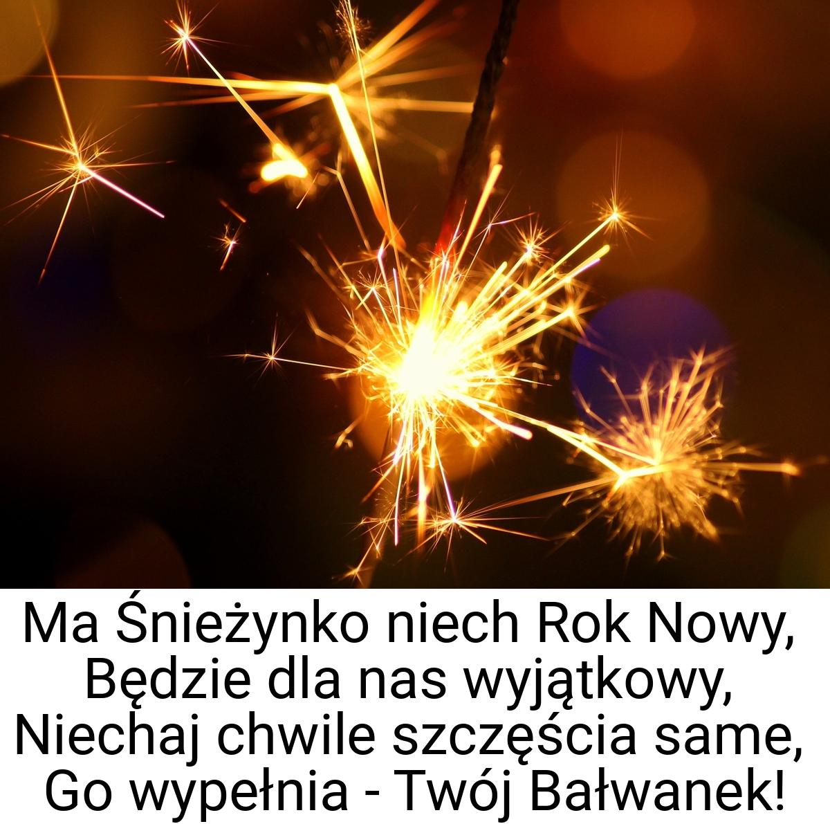 Ma Śnieżynko niech Rok Nowy, Będzie dla nas wyjątkowy