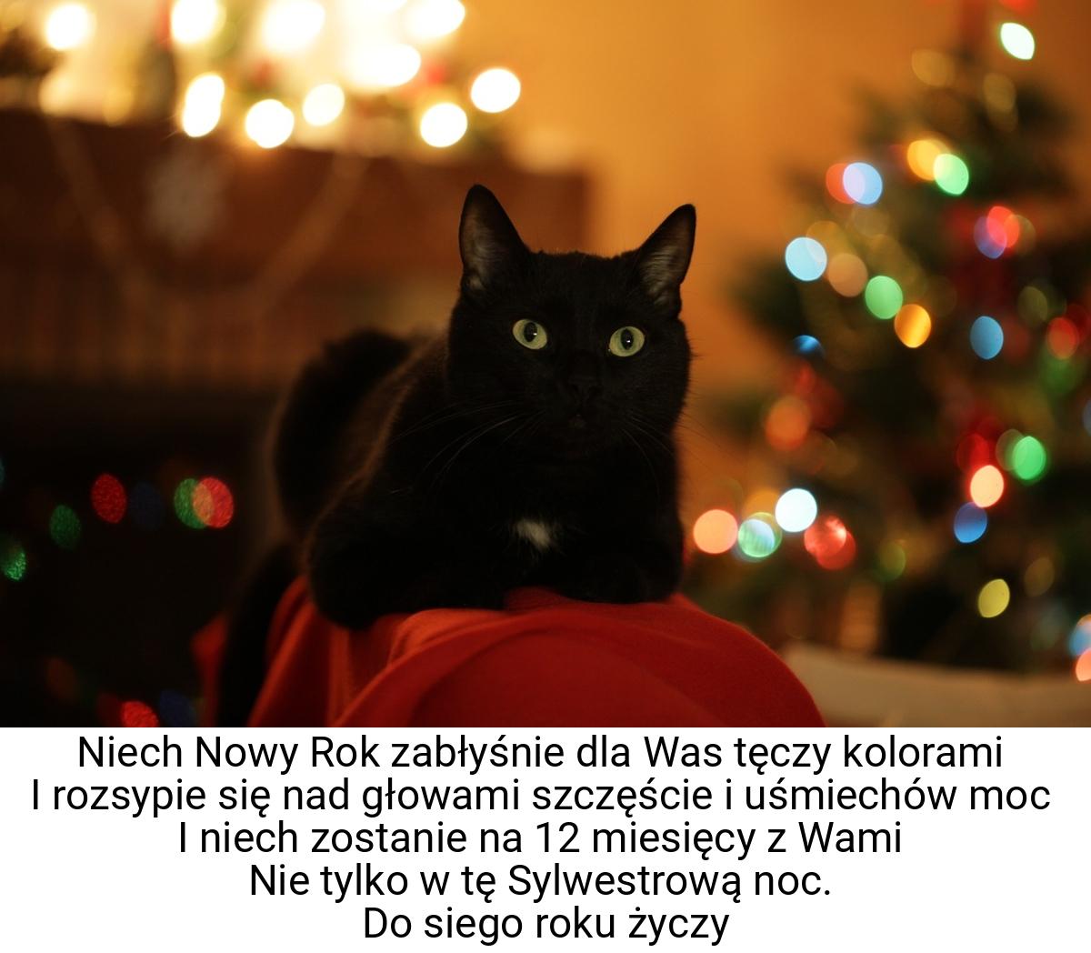 Niech Nowy Rok zabłyśnie dla Was tęczy kolorami I rozsypie