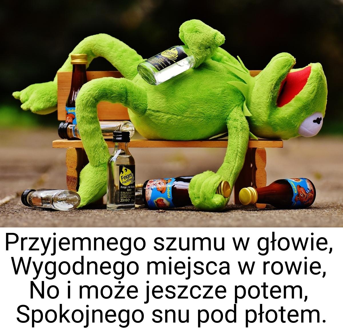 Przyjemnego szumu w głowie, Wygodnego miejsca w rowie, No i