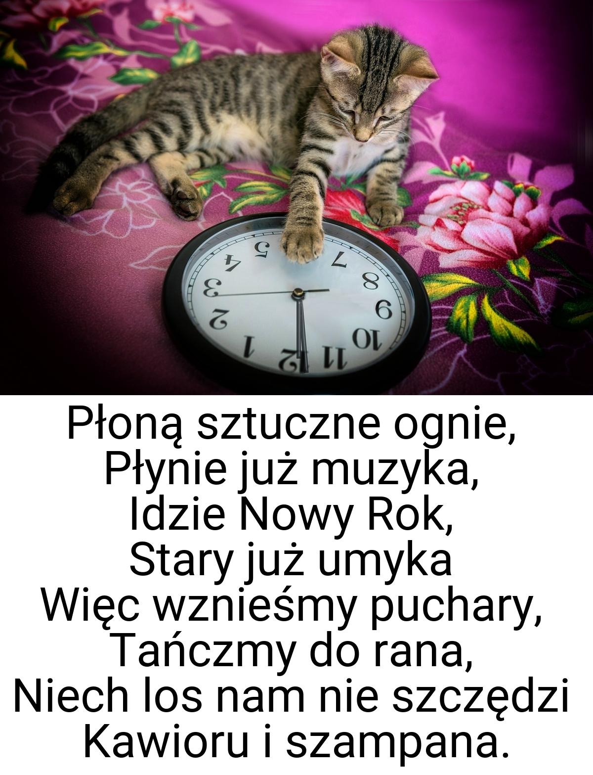 Płoną sztuczne ognie, Płynie już muzyka, Idzie Nowy Rok