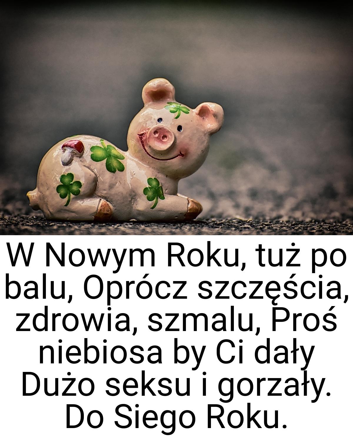 W Nowym Roku, tuż po balu, Oprócz szczęścia, zdrowia