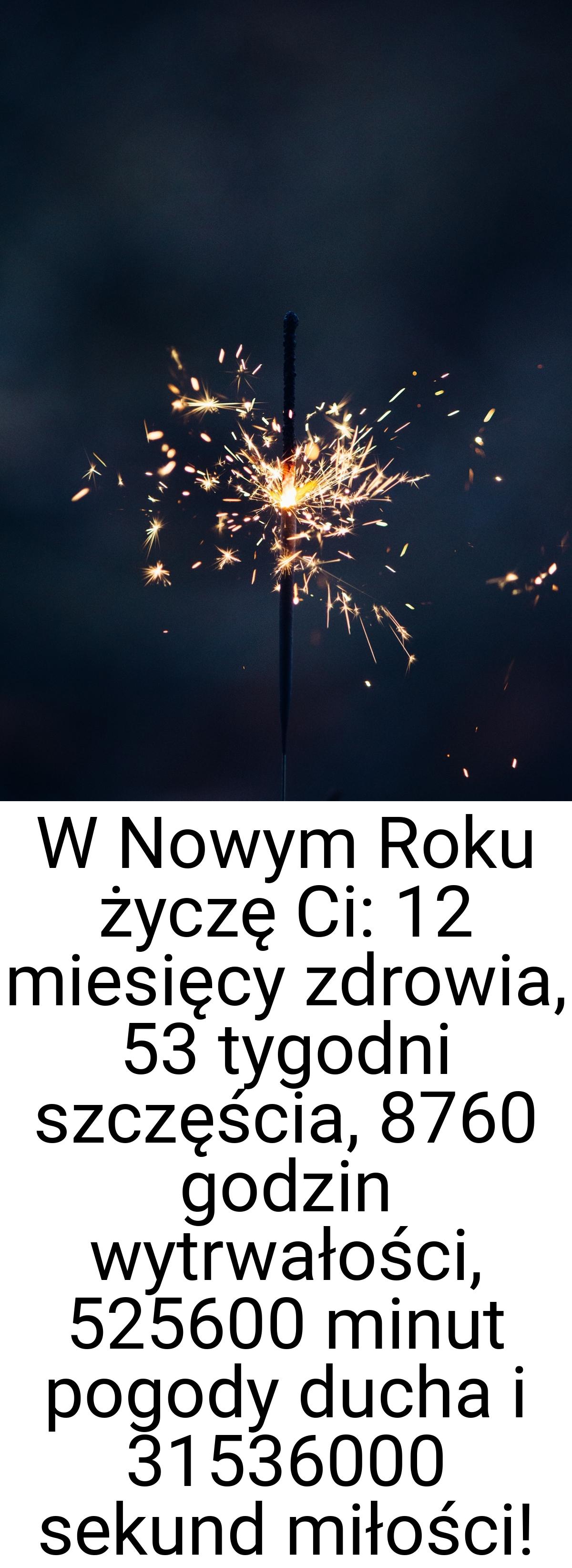 W Nowym Roku życzę Ci: 12 miesięcy zdrowia, 53 tygodni