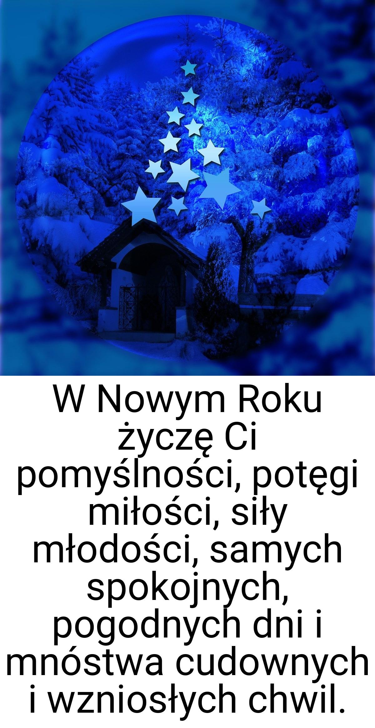 W Nowym Roku życzę Ci pomyślności, potęgi miłości, siły