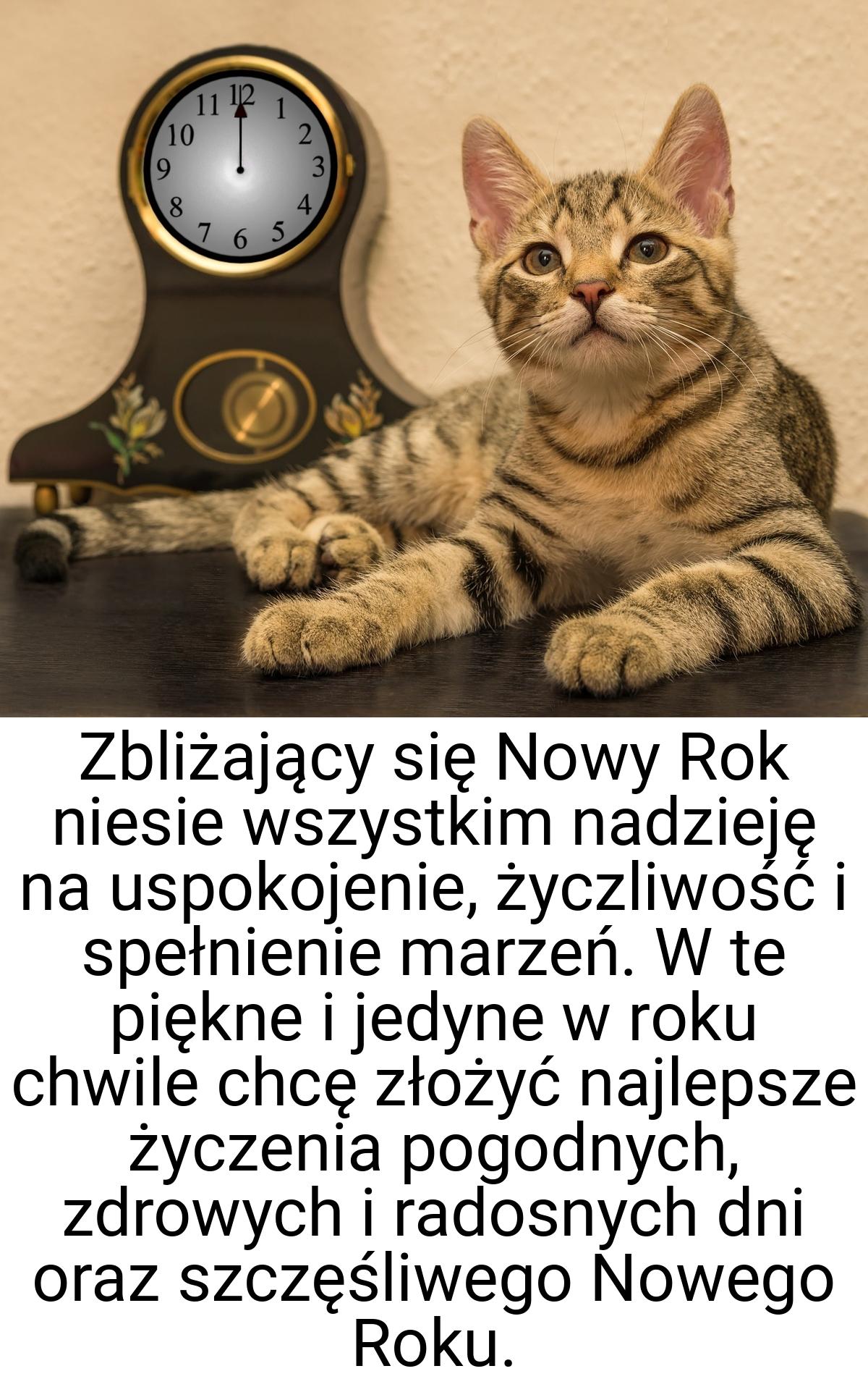 Zbliżający się Nowy Rok niesie wszystkim nadzieję na