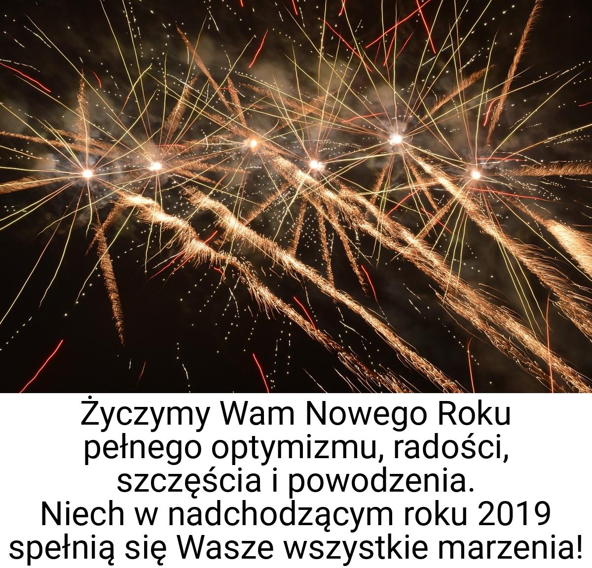 Życzymy Wam Nowego Roku pełnego optymizmu, radości