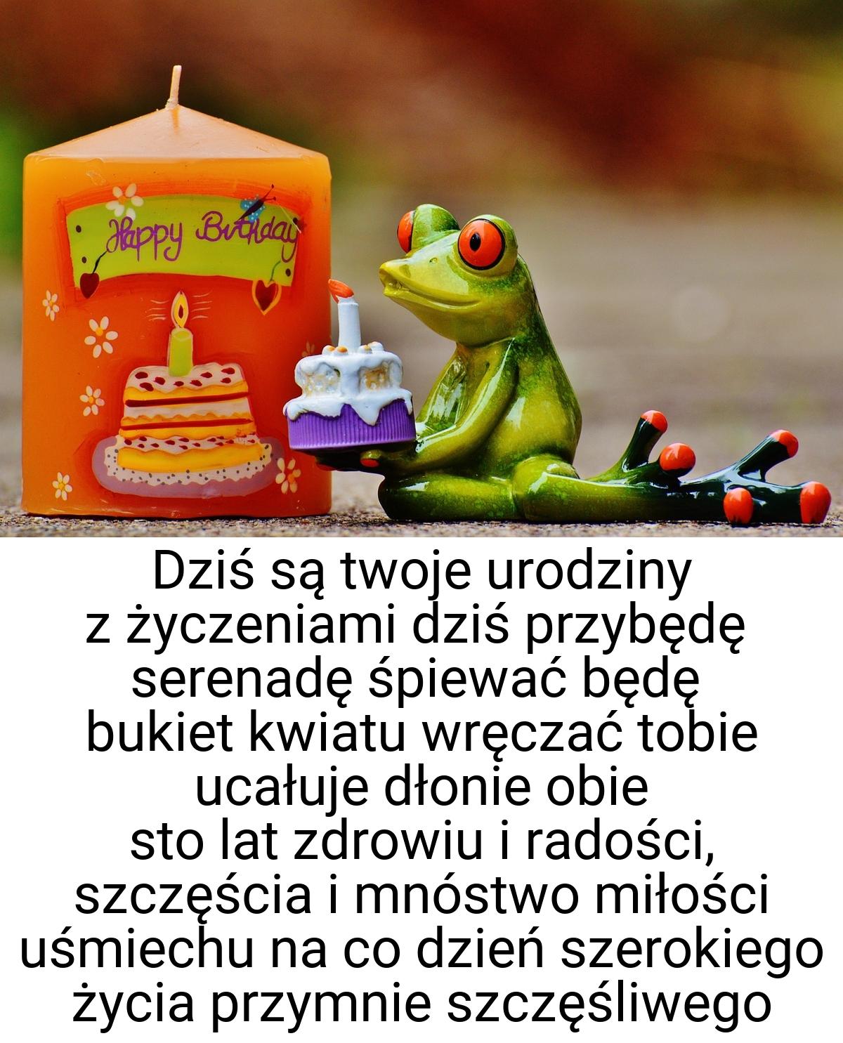 Dziś są twoje urodziny z życzeniami dziś przybędę serenadę