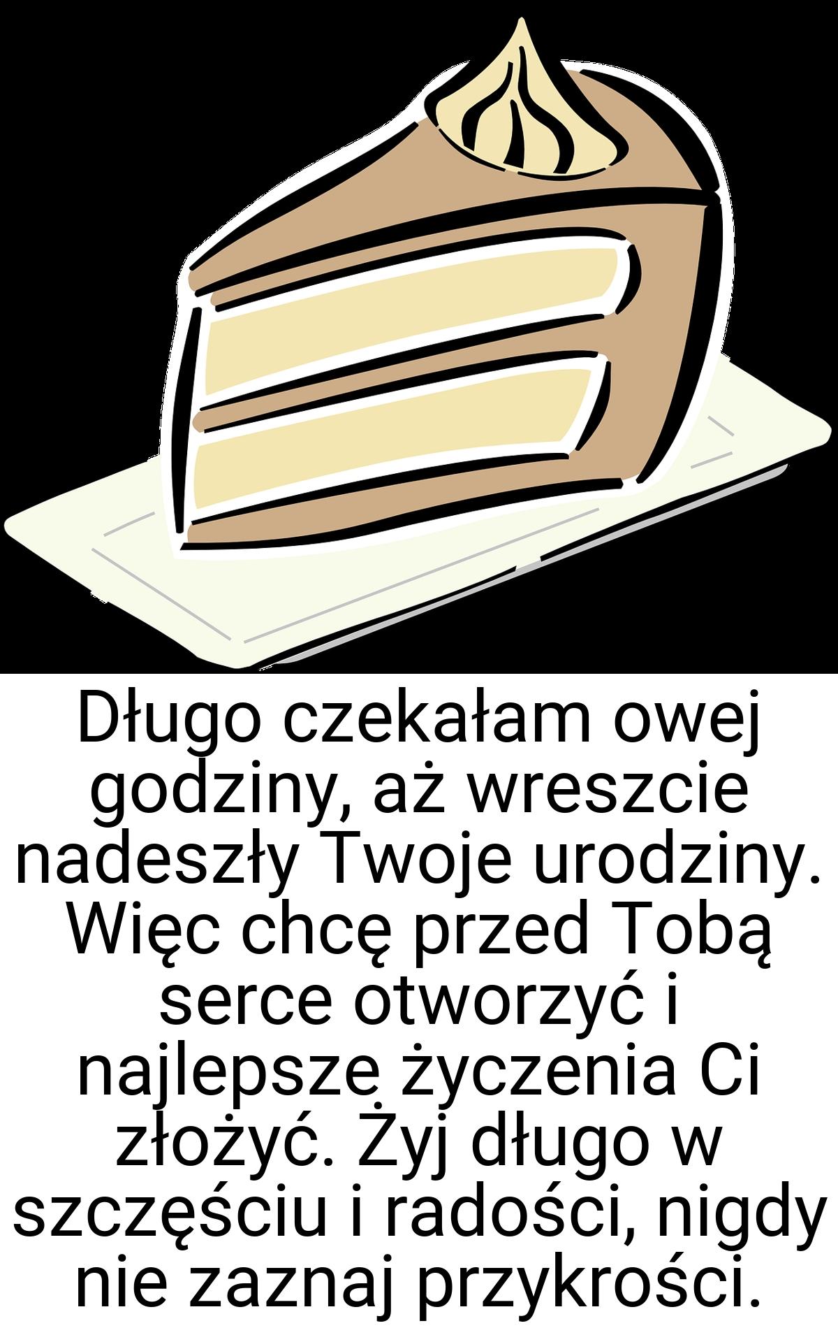 Długo czekałam owej godziny, aż wreszcie nadeszły Twoje