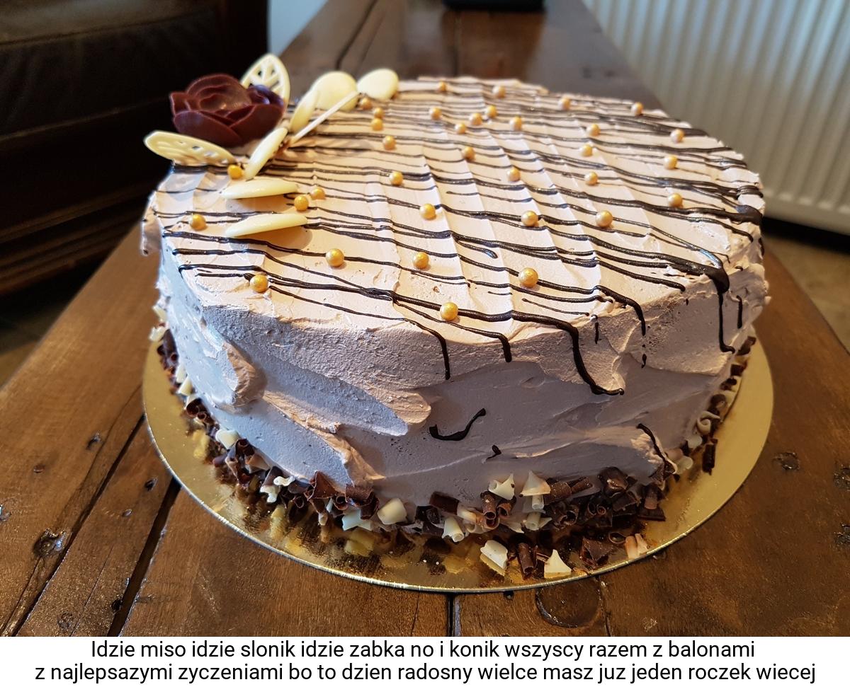 Idzie miso idzie slonik idzie zabka no i konik wszyscy