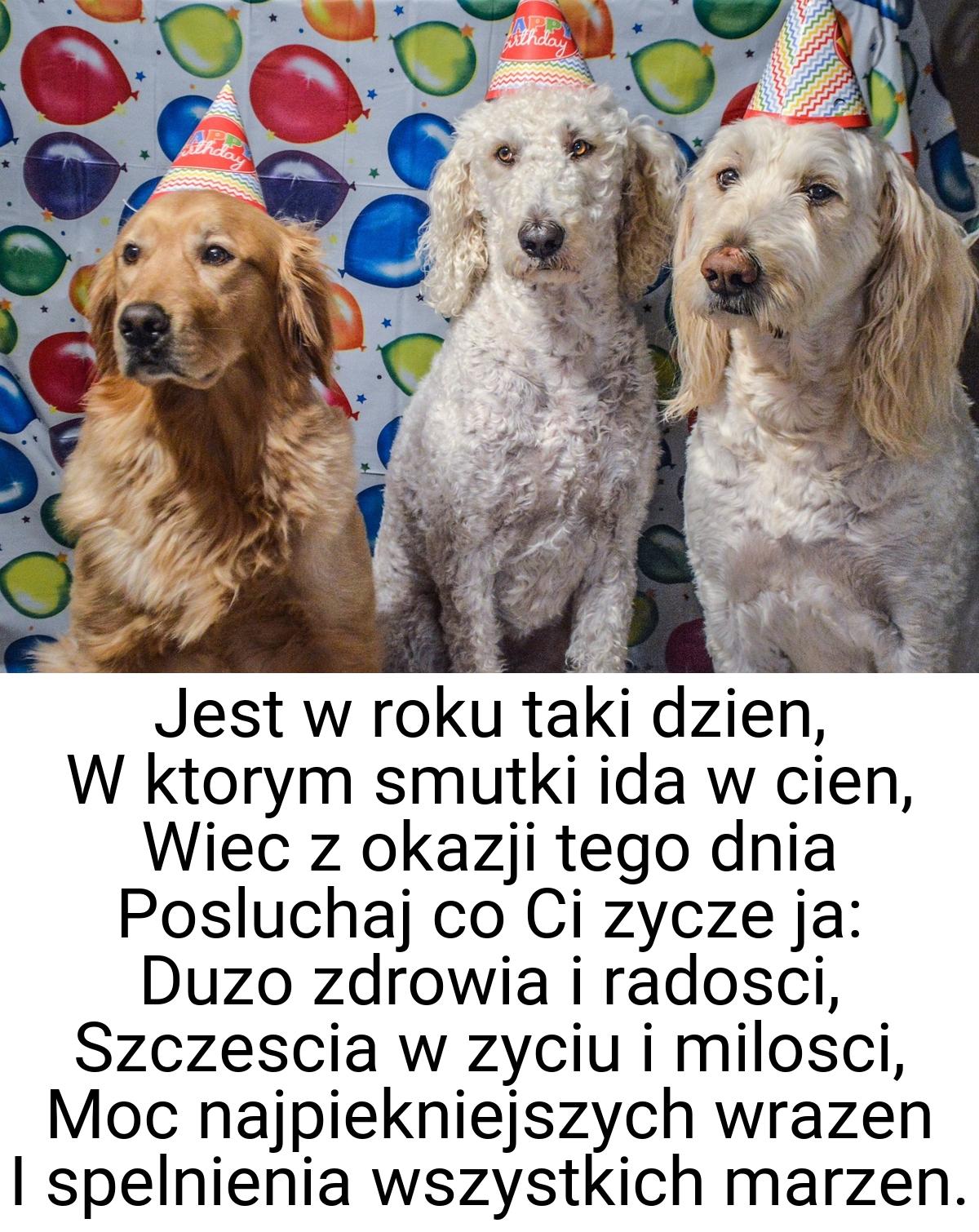 Jest w roku taki dzien, W ktorym smutki ida w cien, Wiec z