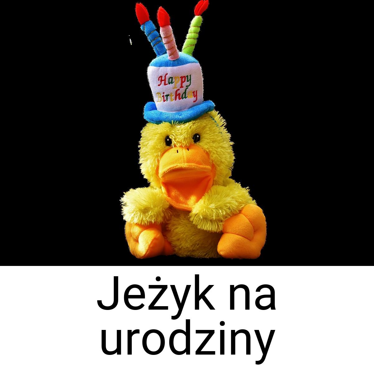 Jeżyk na urodziny