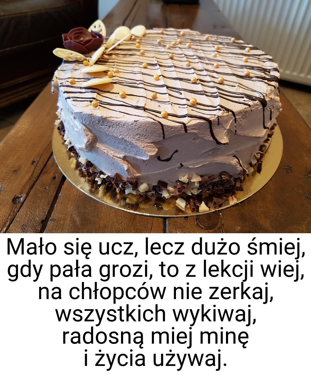 Mało się ucz, lecz dużo śmiej, gdy pała grozi, to z lekcji