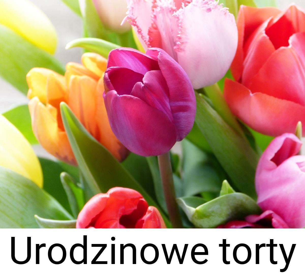 Urodzinowe torty