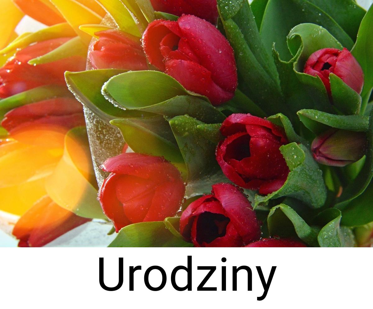 Urodziny