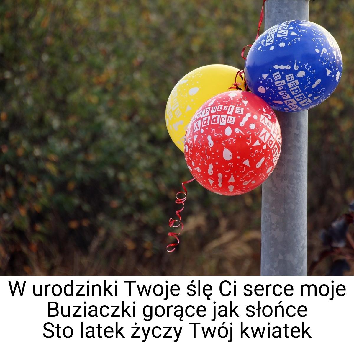 W urodzinki Twoje ślę Ci serce moje Buziaczki gorące jak