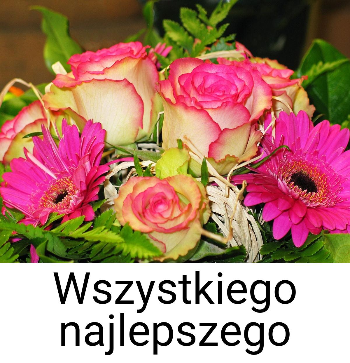 Wszystkiego najlepszego