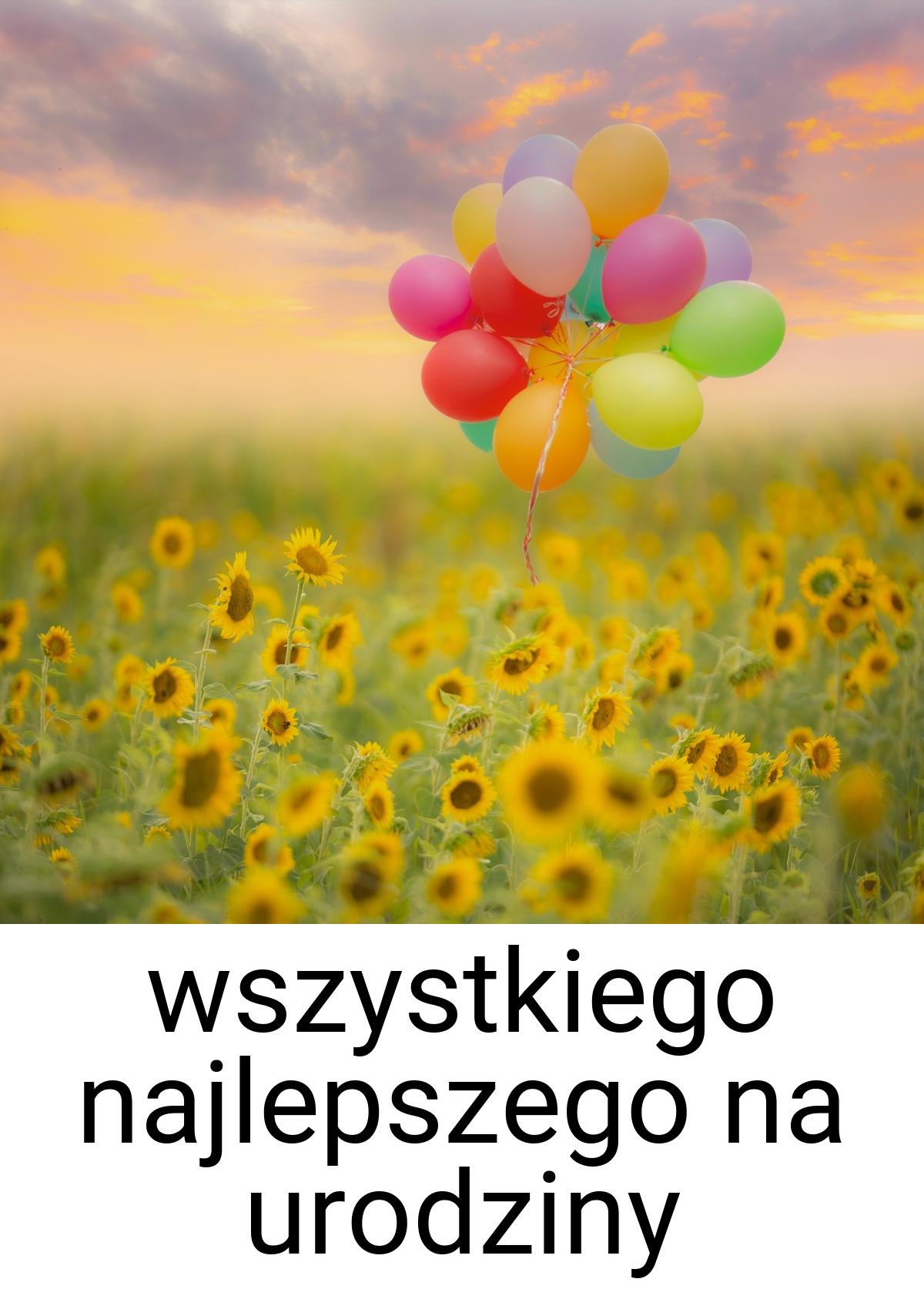 Wszystkiego najlepszego na urodziny