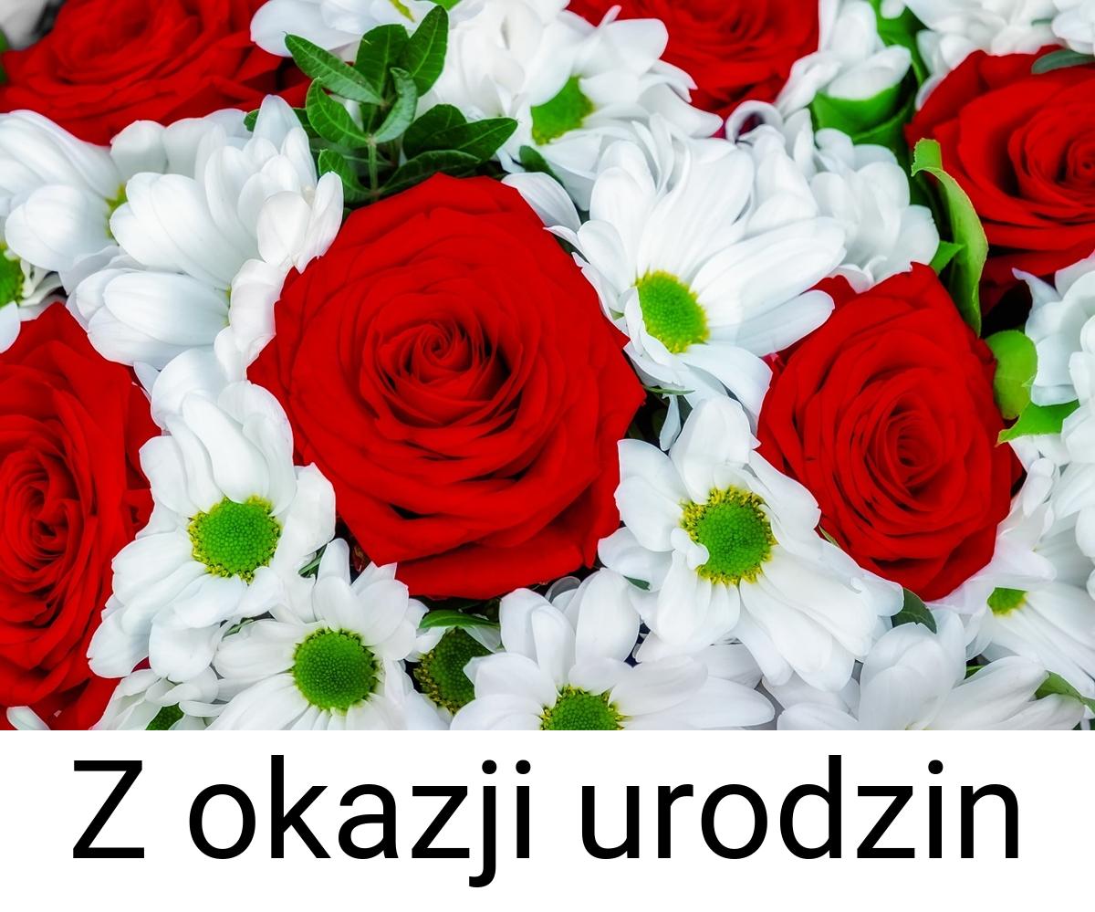 Z okazji urodzin