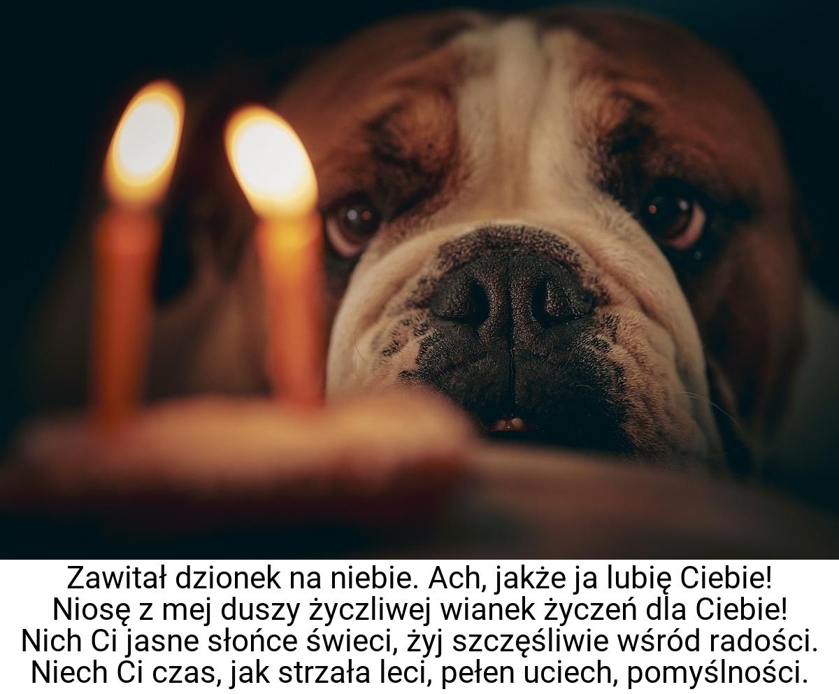 Zawitał dzionek na niebie. Ach, jakże ja lubię Ciebie