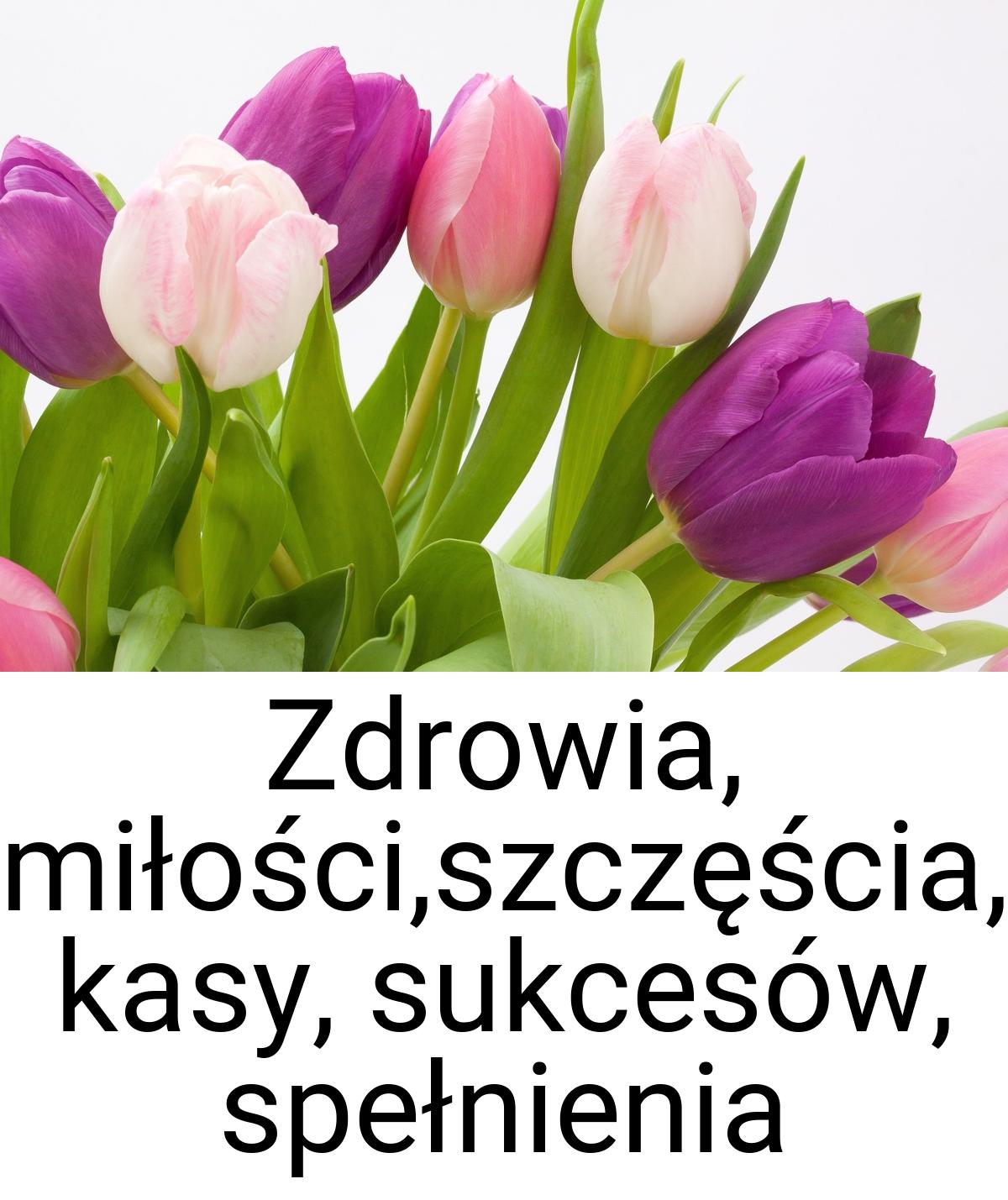 Zdrowia, miłości,szczęścia, kasy, sukcesów, spełnienia