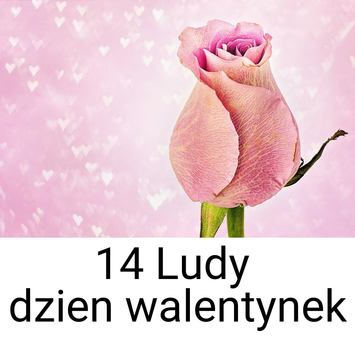 14 Ludy dzien walentynek