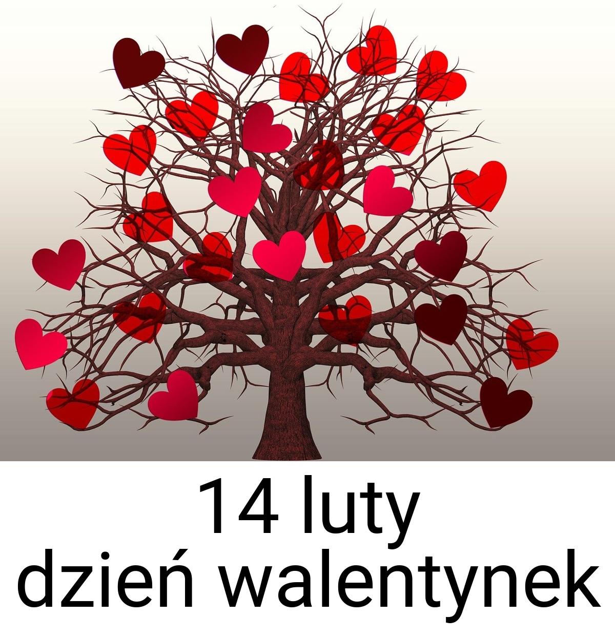 14 luty dzień walentynek