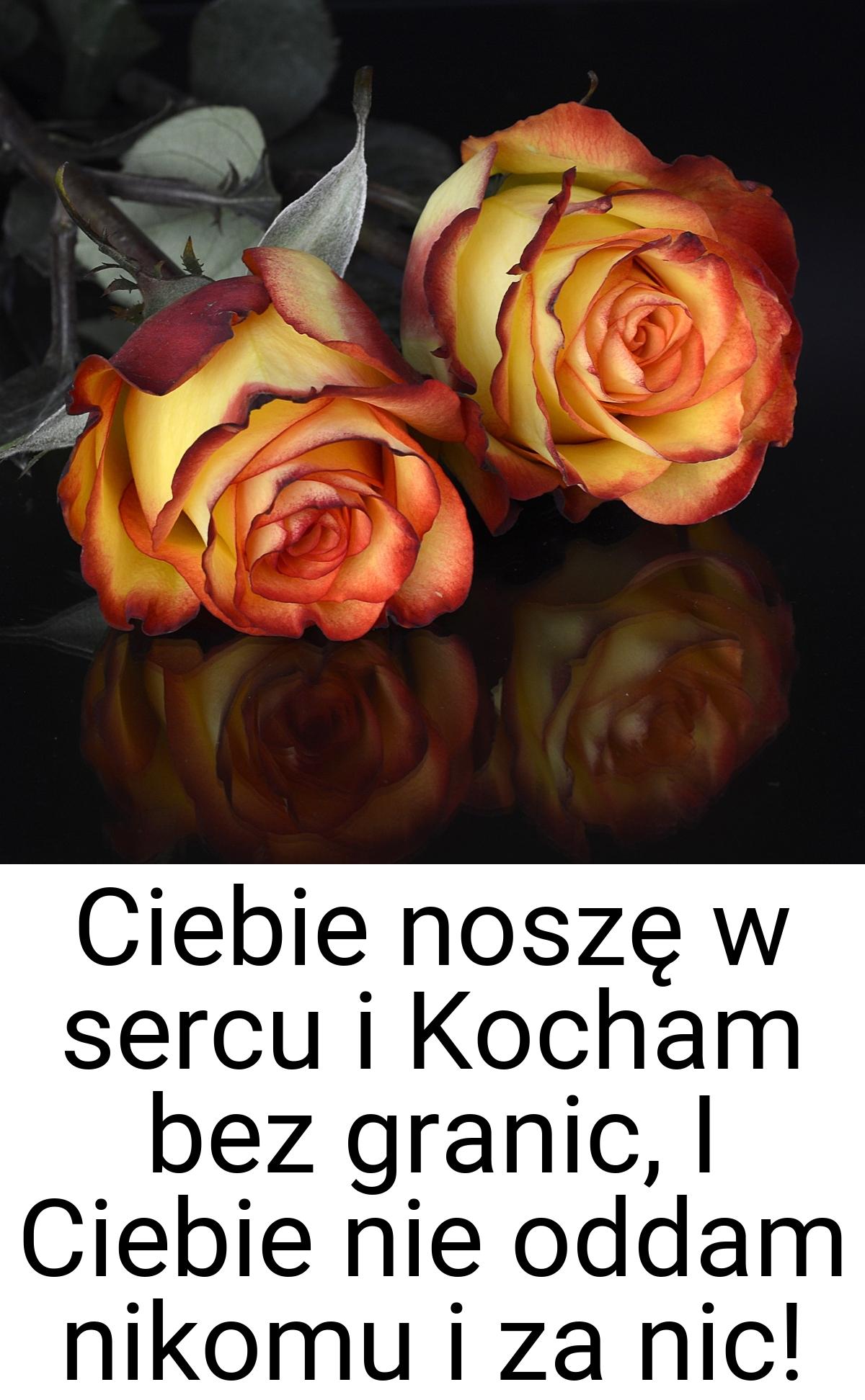 Ciebie noszę w sercu i Kocham bez granic, I Ciebie nie