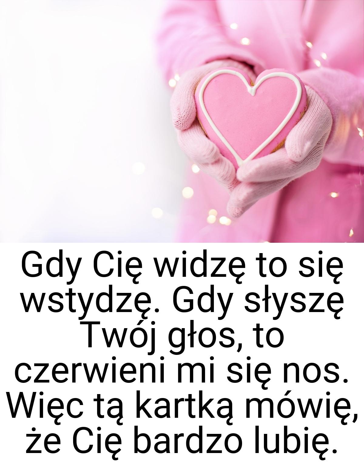 Gdy Cię widzę to się wstydzę. Gdy słyszę Twój głos, to