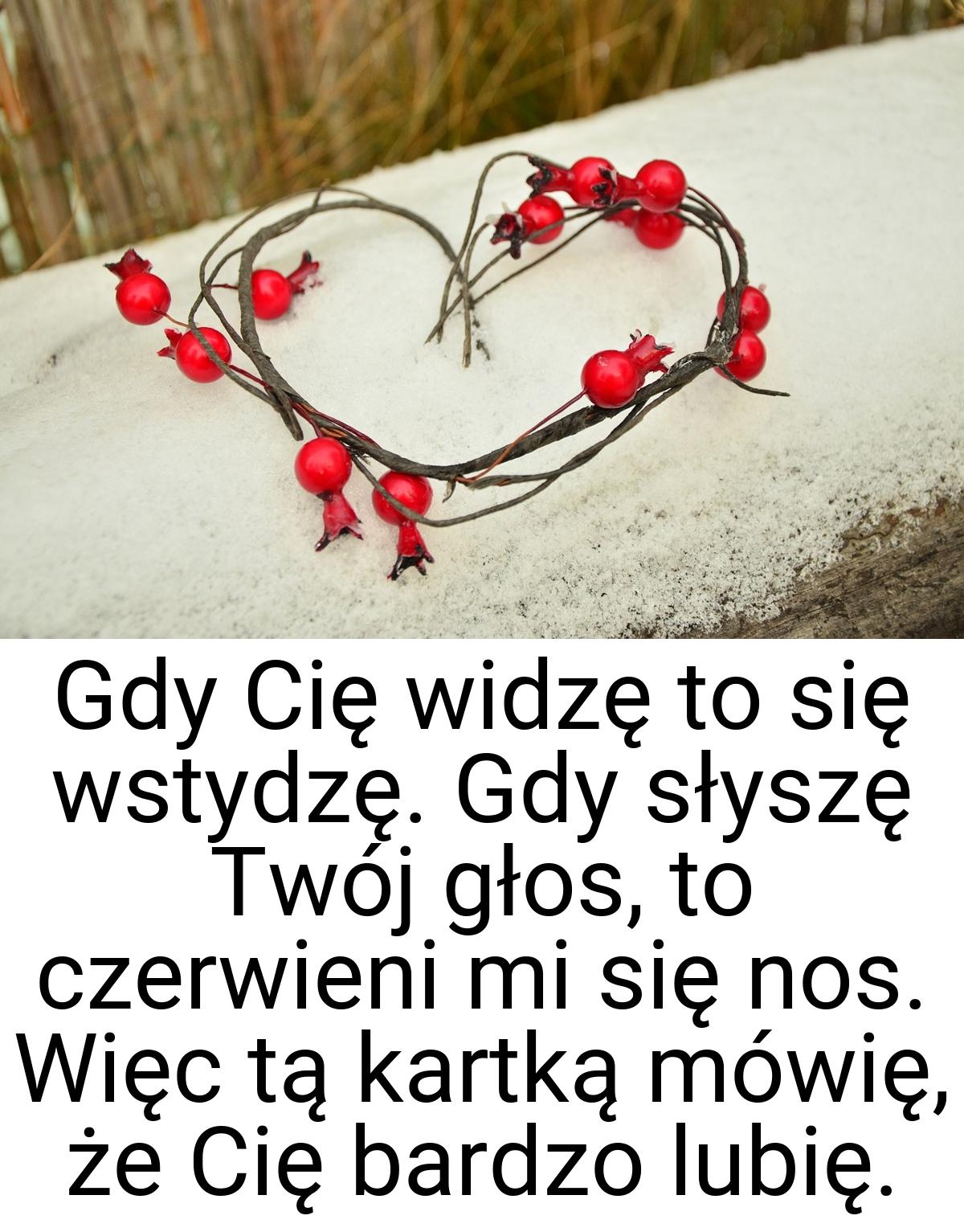 Gdy Cię widzę to się wstydzę. Gdy słyszę Twój głos, to